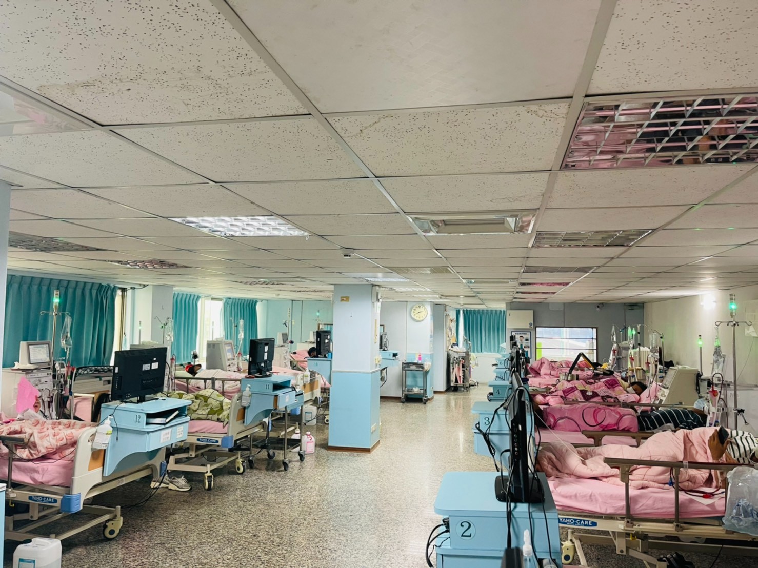 1626852134713838.jpeg 1626852134713838.jpeg